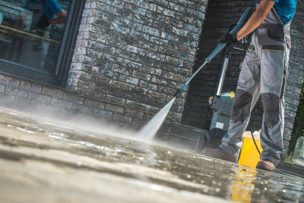 Animal Enclosure Cleaning in Albany, IN