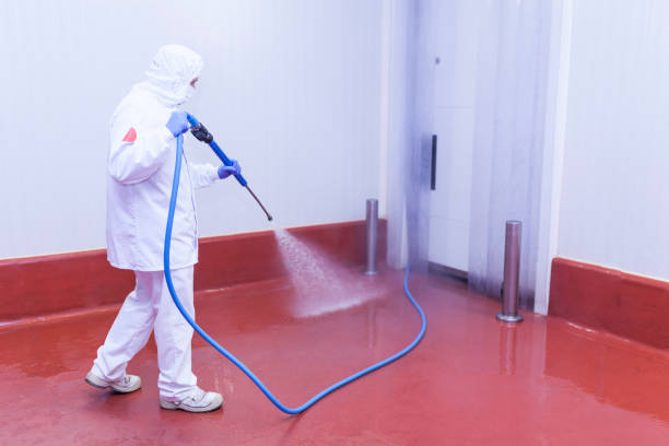 Best Spring Cleaning  in Albany, IN
